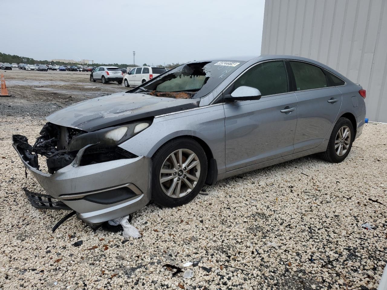 HYUNDAI SONATA 2016 5npe24af4gh326455