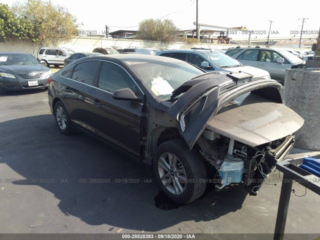 HYUNDAI SONATA 2016 5npe24af4gh326908