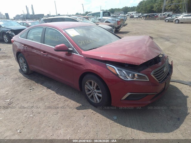 HYUNDAI SONATA 2016 5npe24af4gh328500