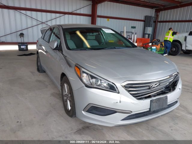 HYUNDAI SONATA 2016 5npe24af4gh343336