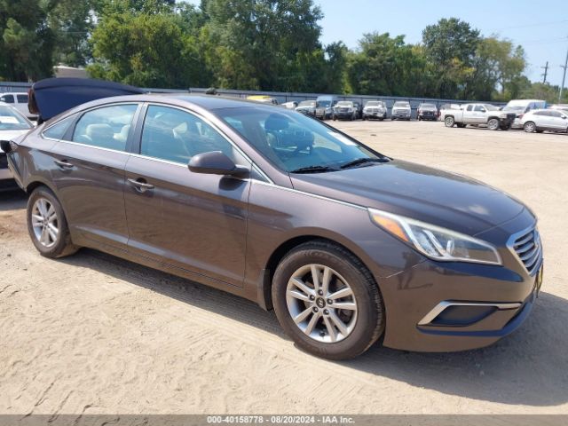 HYUNDAI SONATA 2016 5npe24af4gh346219