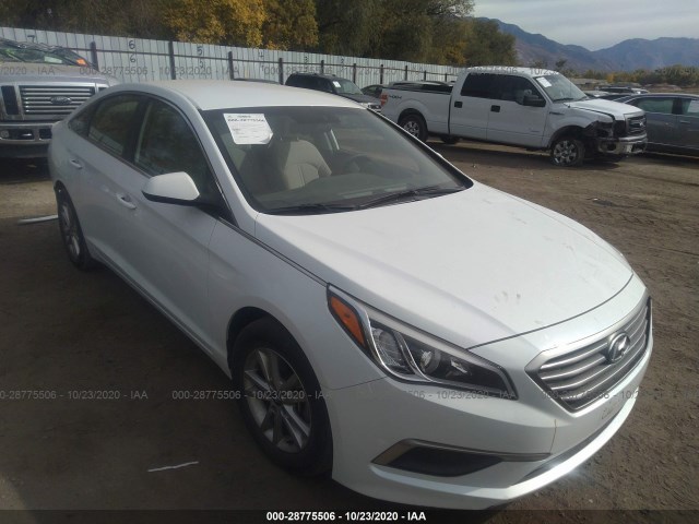 HYUNDAI SONATA 2016 5npe24af4gh346334