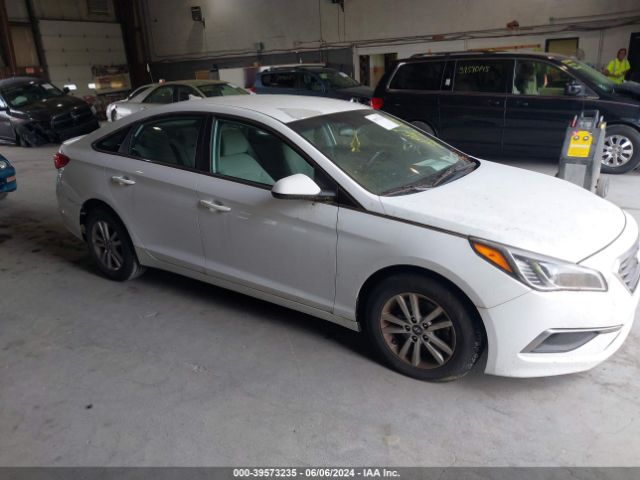 HYUNDAI SONATA 2016 5npe24af4gh348116