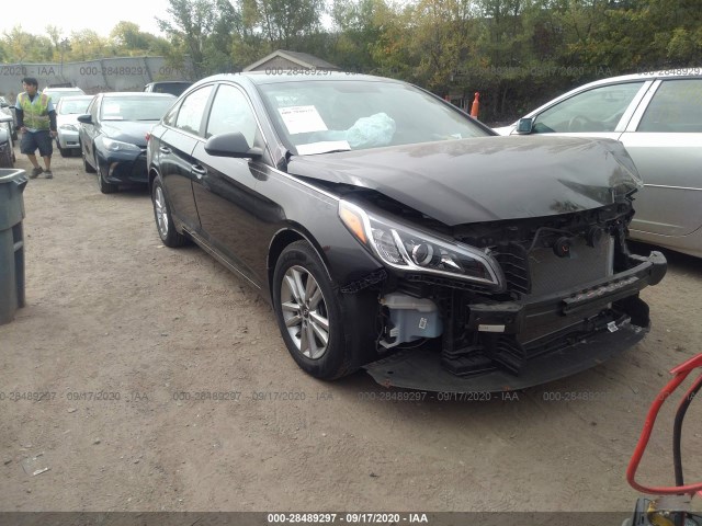 HYUNDAI SONATA 2016 5npe24af4gh350366