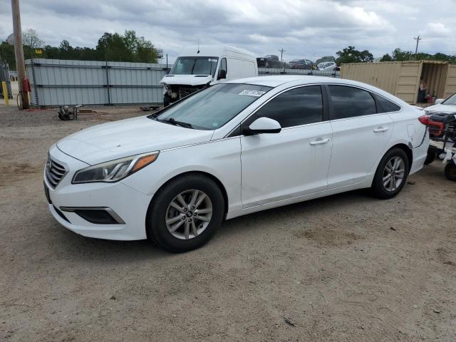 HYUNDAI SONATA 2016 5npe24af4gh350870