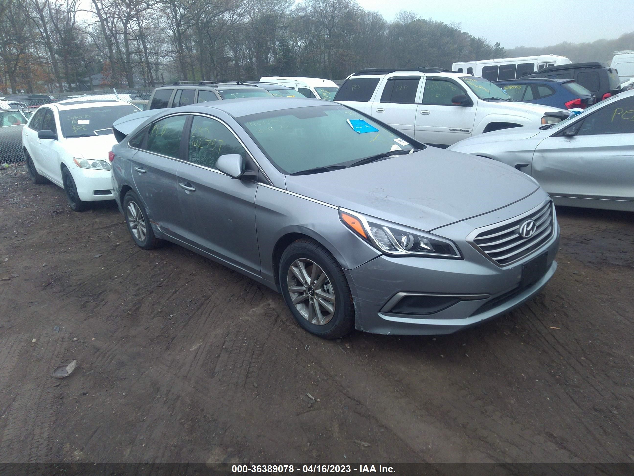 HYUNDAI SONATA 2016 5npe24af4gh355504