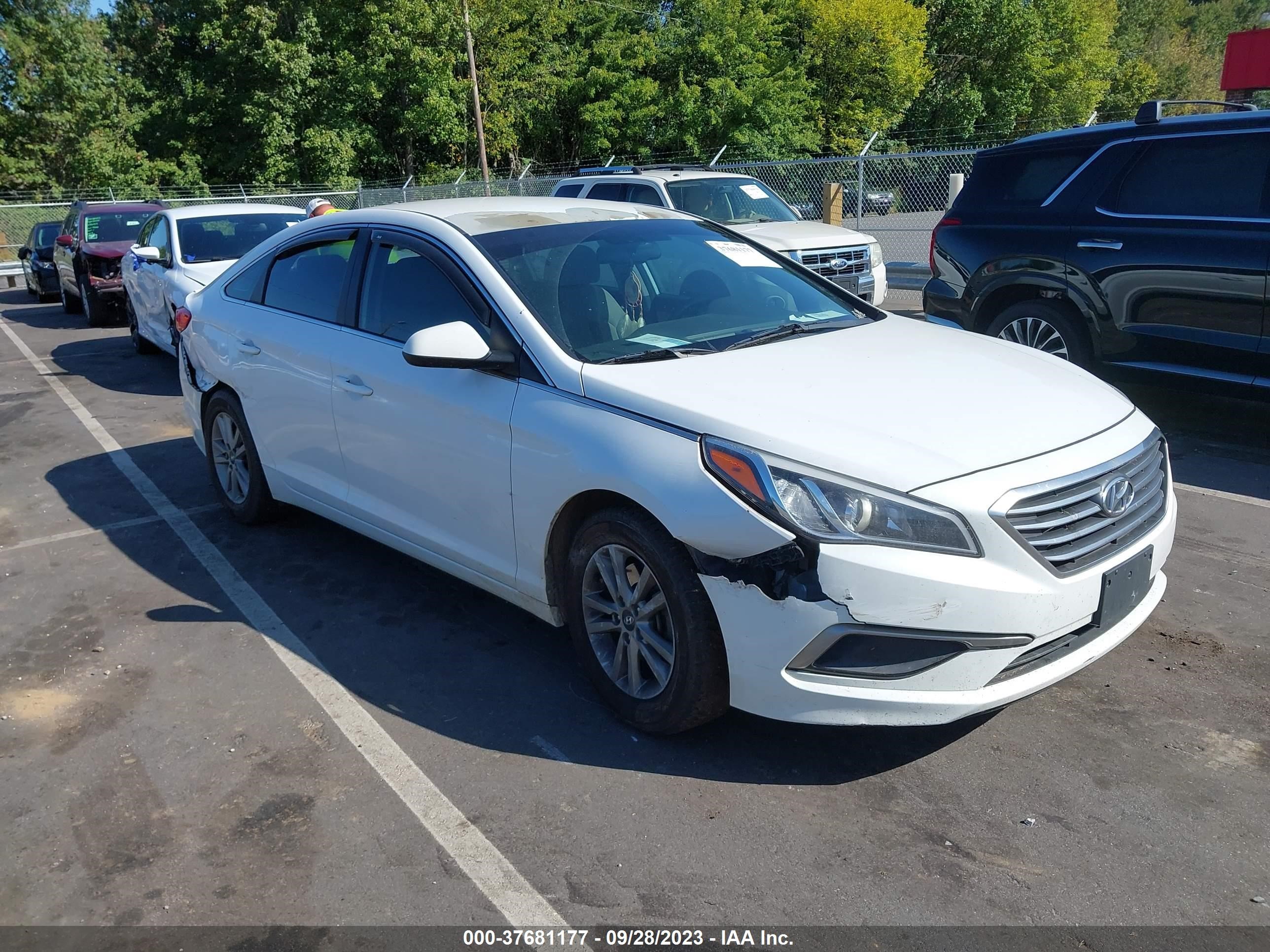 HYUNDAI SONATA 2016 5npe24af4gh358077