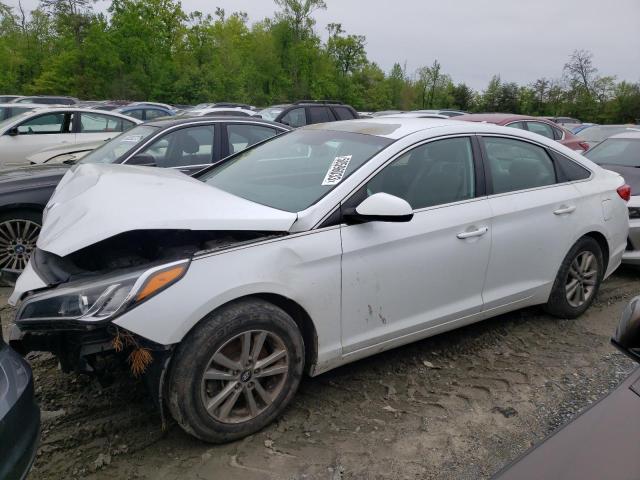 HYUNDAI SONATA SE 2016 5npe24af4gh364641