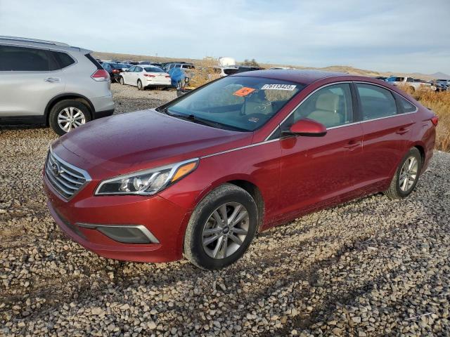 HYUNDAI SONATA 2016 5npe24af4gh366115