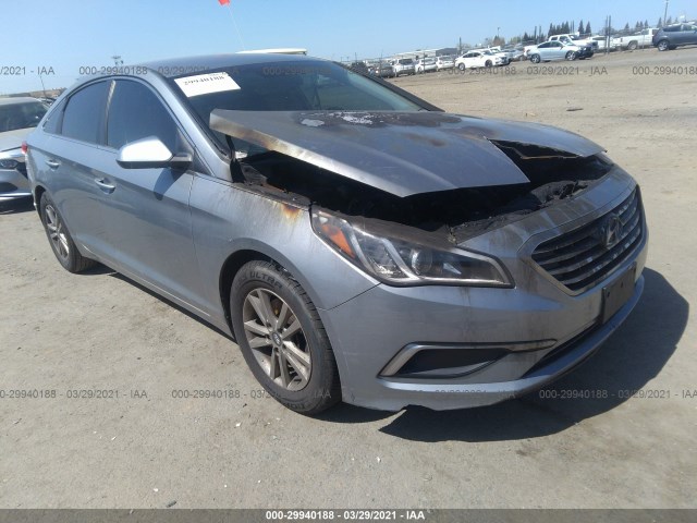 HYUNDAI SONATA 2016 5npe24af4gh367975