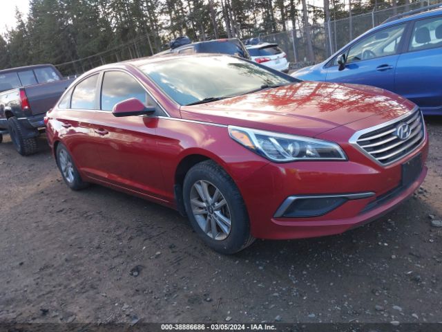 HYUNDAI SONATA 2016 5npe24af4gh370441