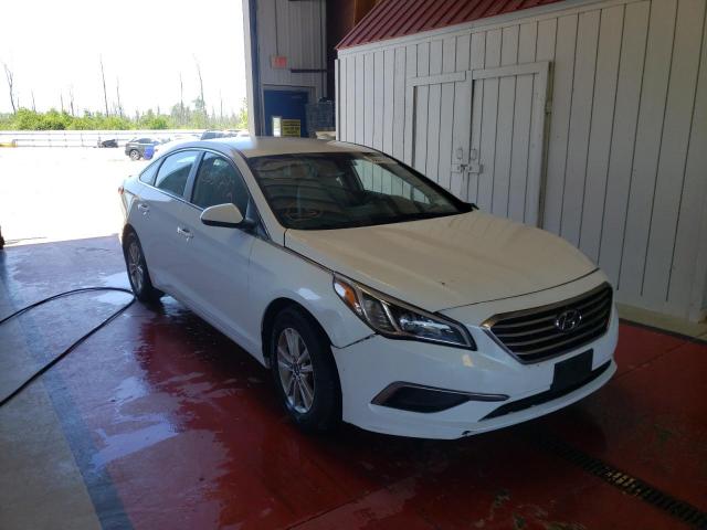 HYUNDAI SONATA SE 2016 5npe24af4gh370567