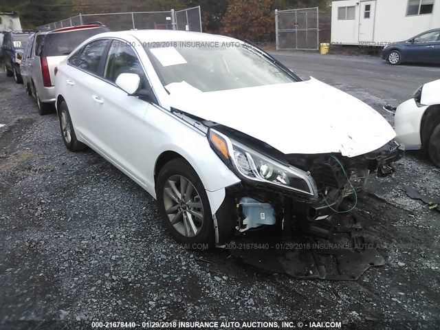 HYUNDAI SONATA 2016 5npe24af4gh371363