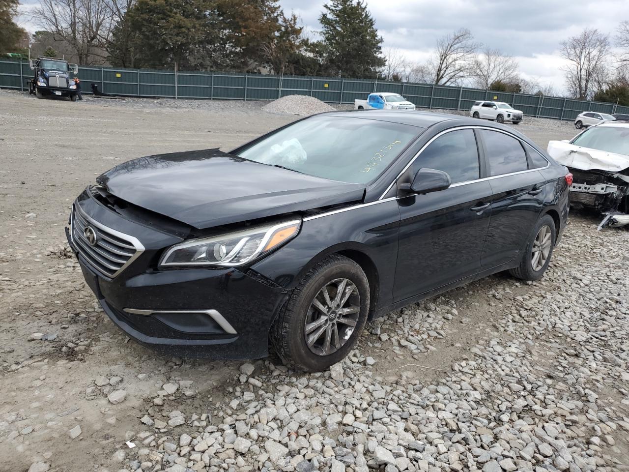 HYUNDAI SONATA 2016 5npe24af4gh372982