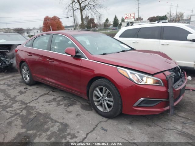 HYUNDAI SONATA 2016 5npe24af4gh373565