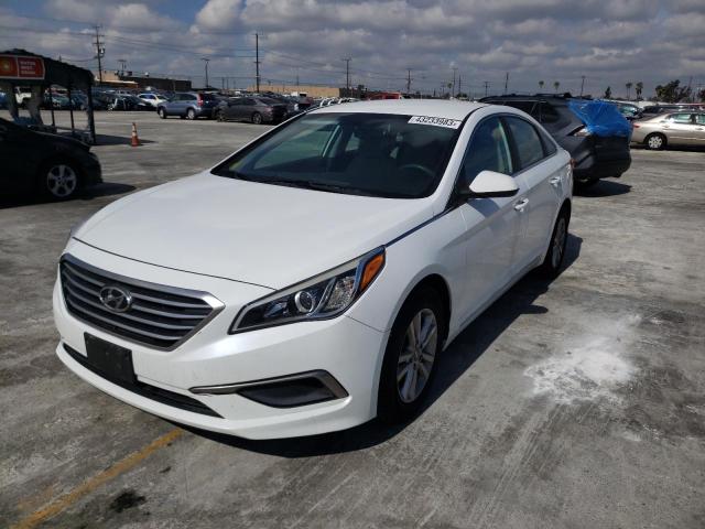 HYUNDAI SONATA SE 2016 5npe24af4gh375347