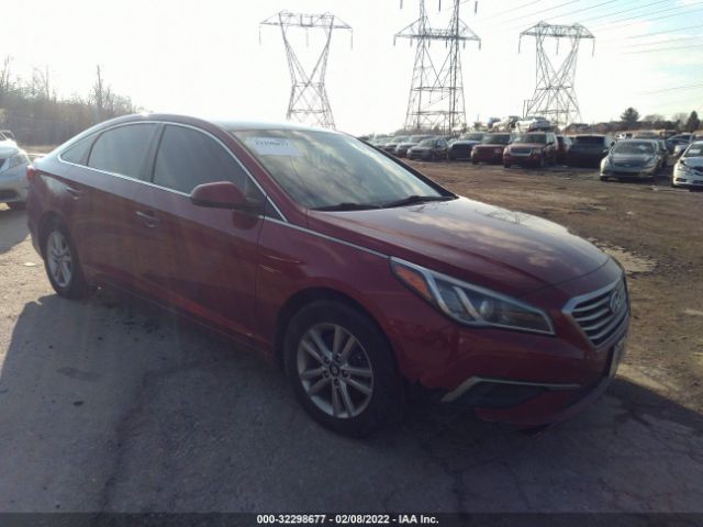 HYUNDAI SONATA 2016 5npe24af4gh375509