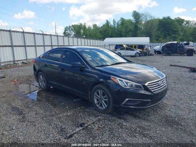 HYUNDAI SONATA 2016 5npe24af4gh381567