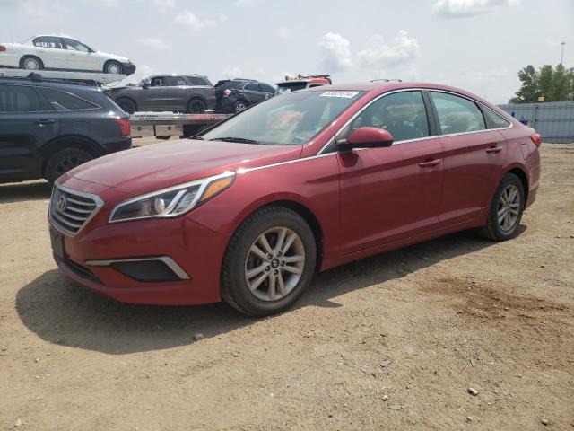 HYUNDAI SONATA 2016 5npe24af4gh383965