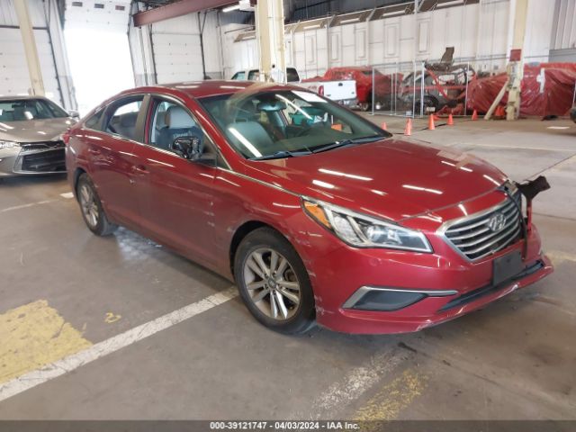 HYUNDAI SONATA 2016 5npe24af4gh384243