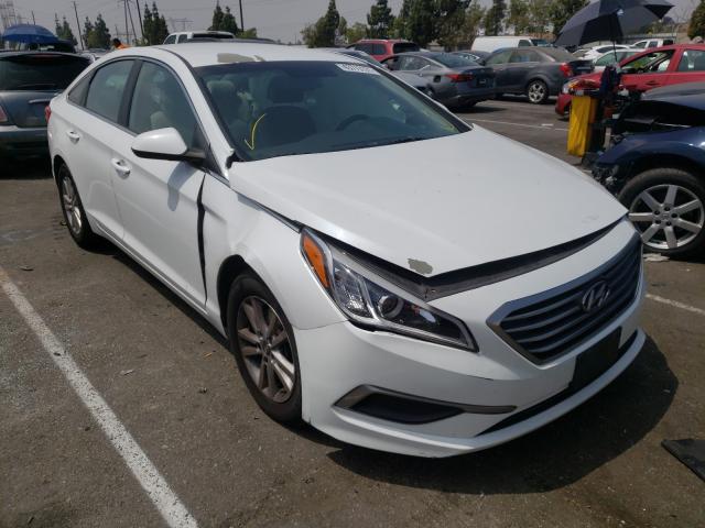 HYUNDAI SONATA SE 2016 5npe24af4gh384386