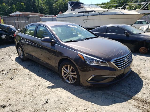 HYUNDAI SONATA SE 2016 5npe24af4gh385523