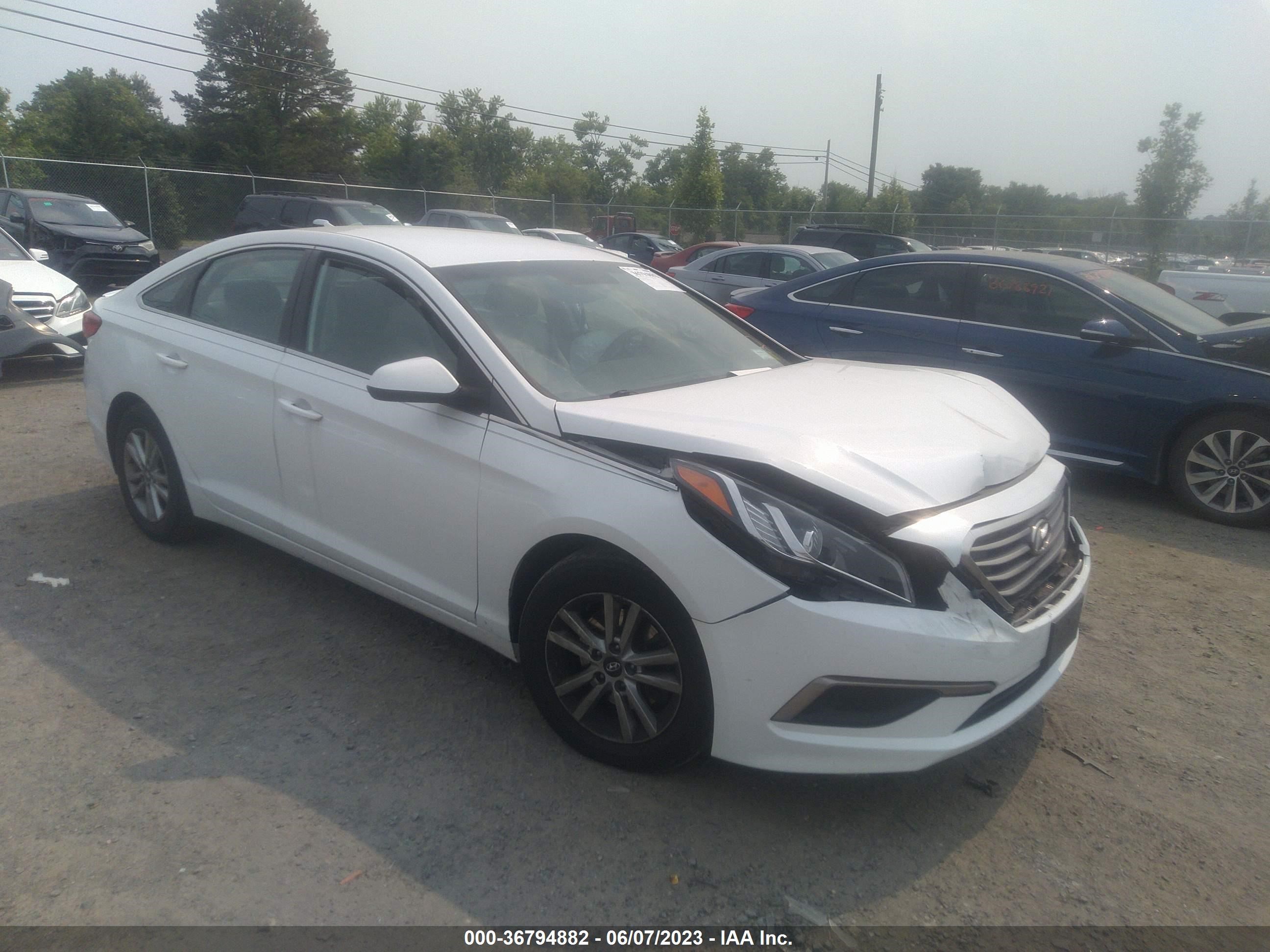 HYUNDAI SONATA 2016 5npe24af4gh387286