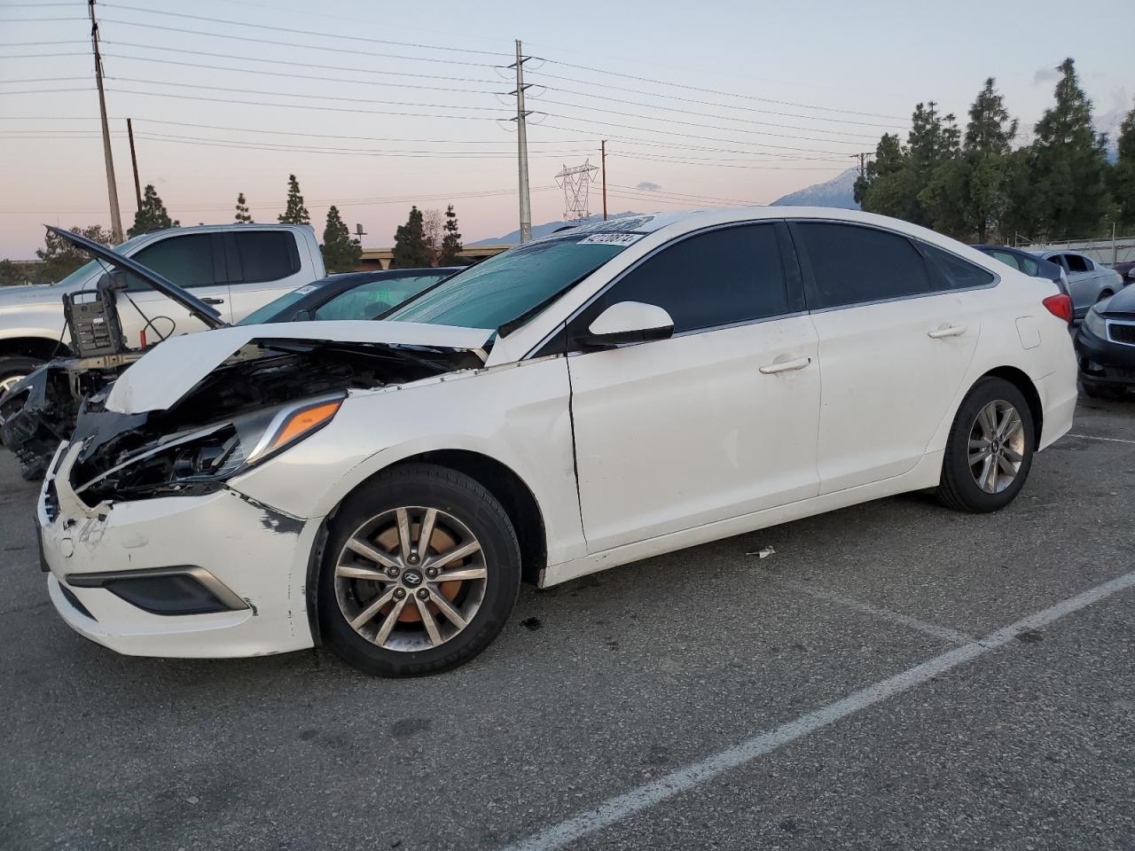 HYUNDAI SONATA 2016 5npe24af4gh389278