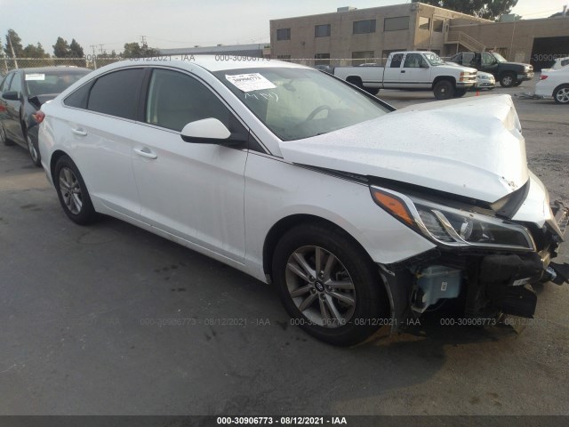 HYUNDAI SONATA 2016 5npe24af4gh395243