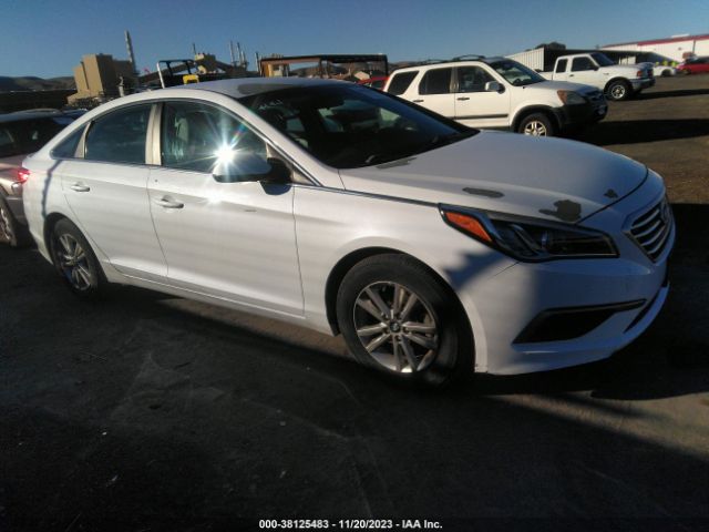 HYUNDAI SONATA 2016 5npe24af4gh395260