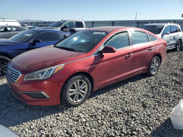 HYUNDAI SONATA SE 2016 5npe24af4gh396439