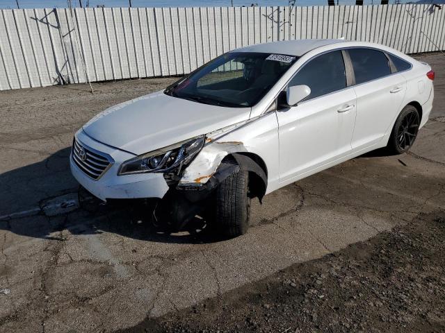 HYUNDAI SONATA 2016 5npe24af4gh397297