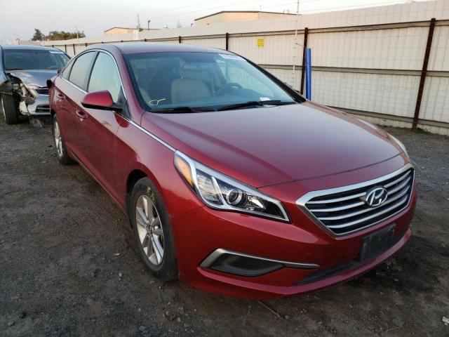 HYUNDAI SONATA SE 2016 5npe24af4gh399244