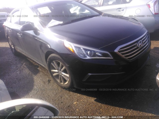 HYUNDAI SONATA 2016 5npe24af4gh403518