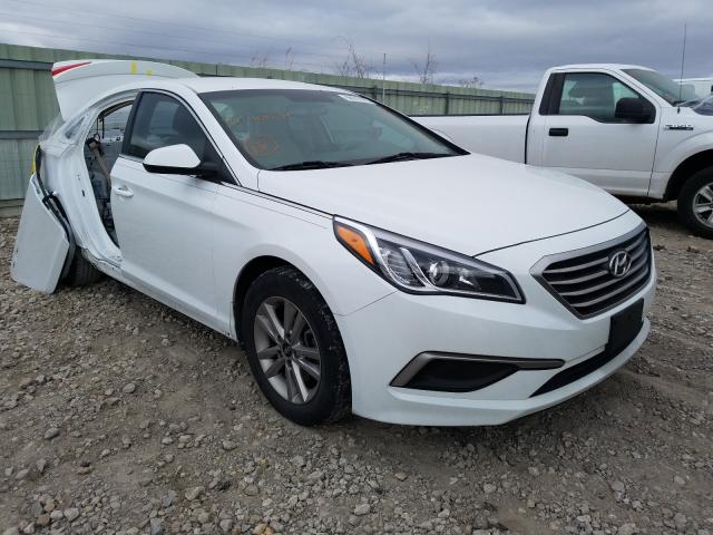 HYUNDAI SONATA SE 2016 5npe24af4gh404832