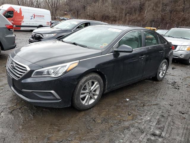 HYUNDAI SONATA 2016 5npe24af4gh406824