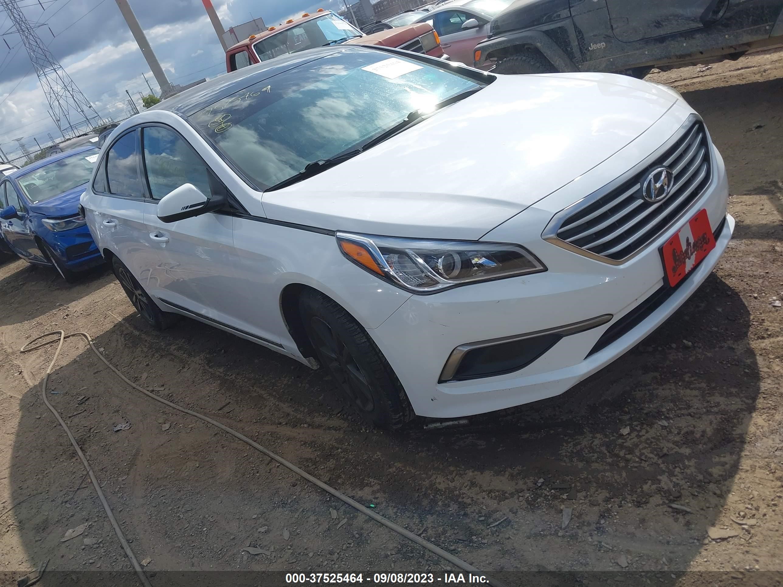 HYUNDAI SONATA 2016 5npe24af4gh407715