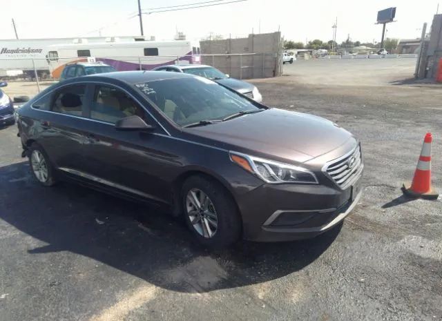 HYUNDAI SONATA 2016 5npe24af4gh408315