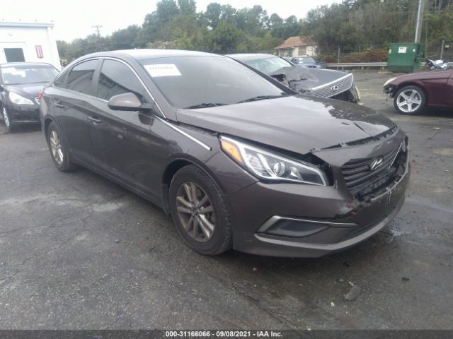 HYUNDAI SONATA 2016 5npe24af4gh416236