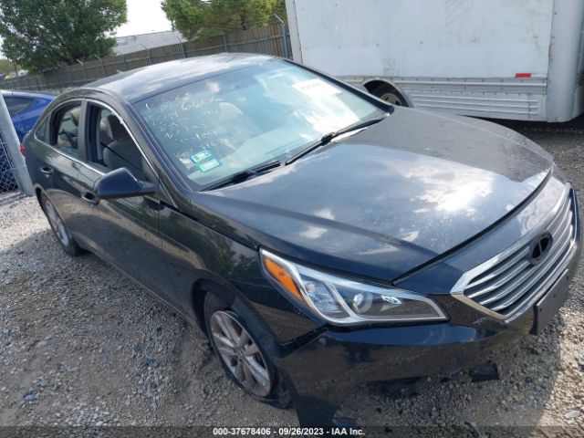 HYUNDAI SONATA 2016 5npe24af4gh416785