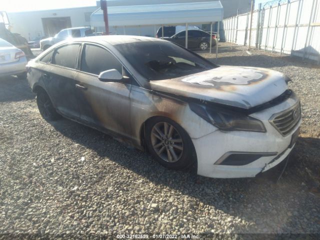 HYUNDAI SONATA 2016 5npe24af4gh420383