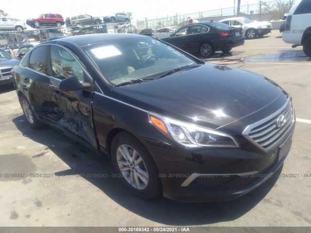 HYUNDAI SONATA 2016 5npe24af4gh428130