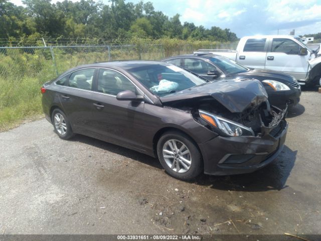 HYUNDAI SONATA 2017 5npe24af4hh441929