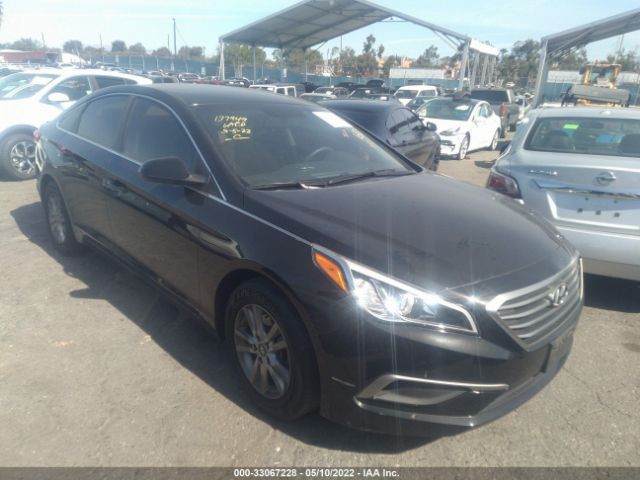 HYUNDAI SONATA 2017 5npe24af4hh448959