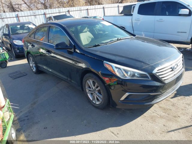 HYUNDAI SONATA 2017 5npe24af4hh456334