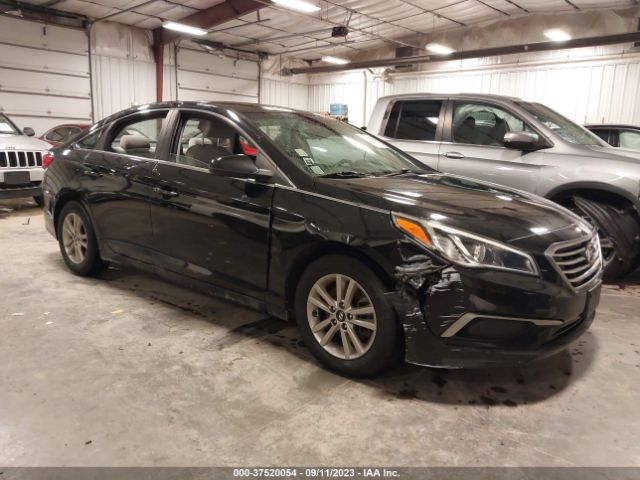 HYUNDAI SONATA 2017 5npe24af4hh469553