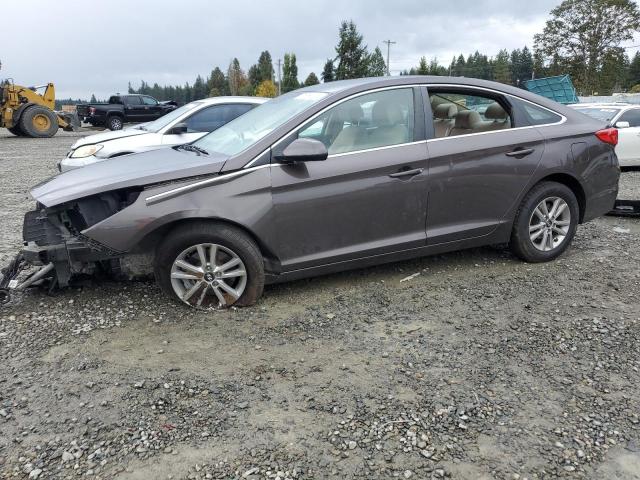 HYUNDAI SONATA 2017 5npe24af4hh492072