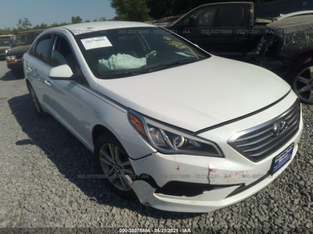 HYUNDAI SONATA 2017 5npe24af4hh494338