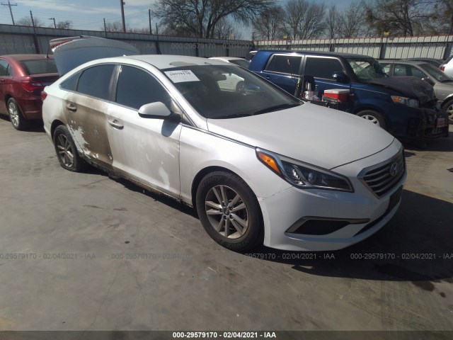 HYUNDAI SONATA 2017 5npe24af4hh495439