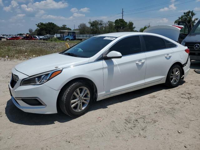 HYUNDAI SONATA 2017 5npe24af4hh502647